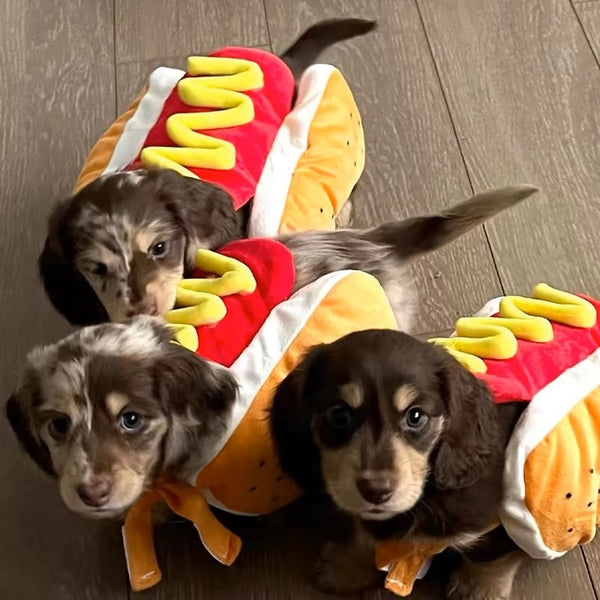 Funny Hot Dog Plush Toy For Pet