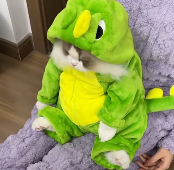 Cute Dinosaur Pajamas