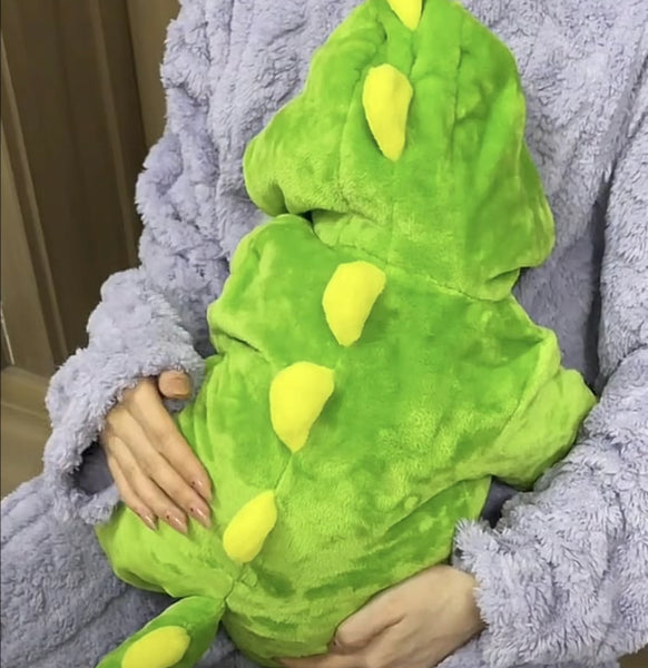 Cute Dinosaur Pajamas