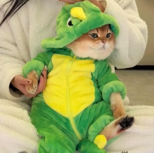 Cute Dinosaur Pajamas