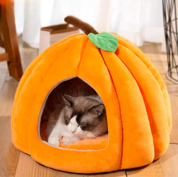 Cute Pumpkin Pet House
