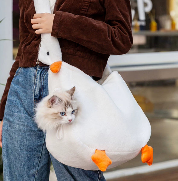 Funny Pet Bag