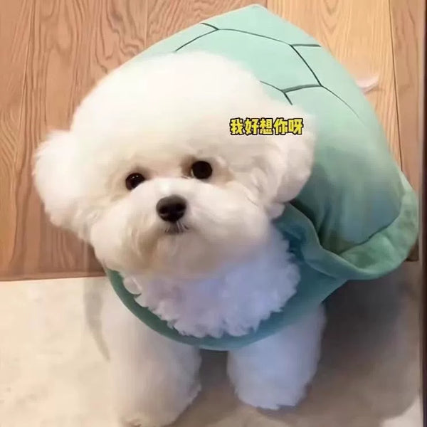 Cute Turtle Shell For Pet