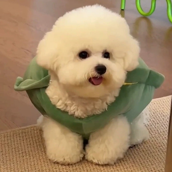 Cute Turtle Shell For Pet