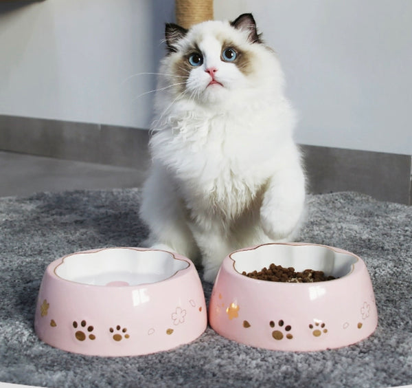 Kawaii Paw Bowl For Pet