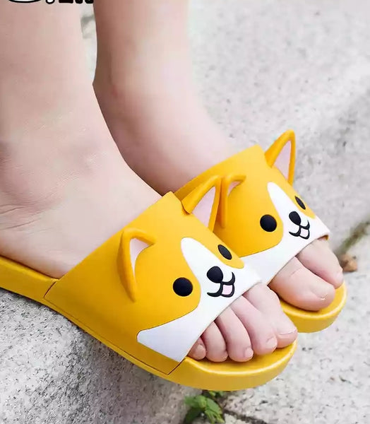 Dog Slippers