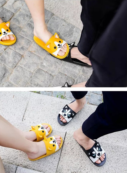 Dog Slippers