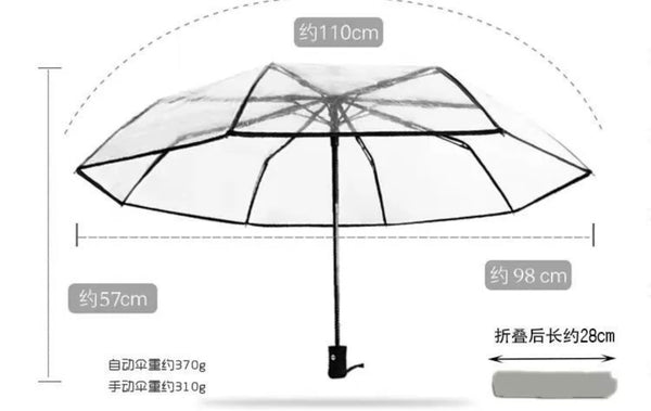 Cute Cartoon Umbrella