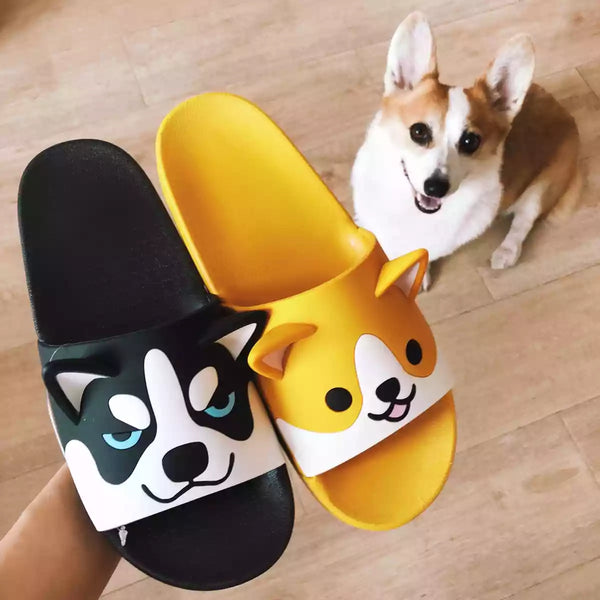 Dog Slippers