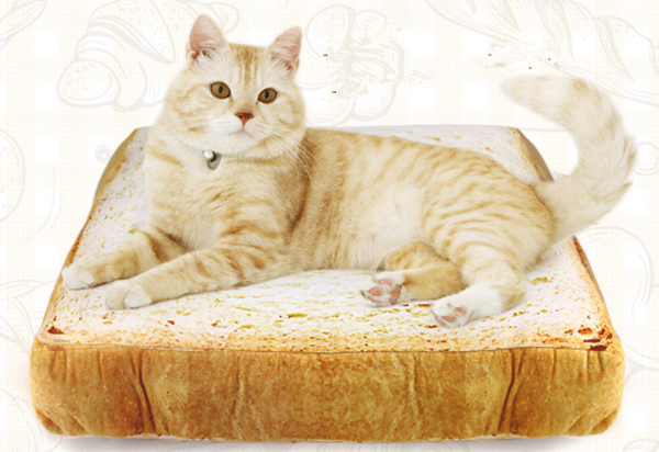 Toast Cushion