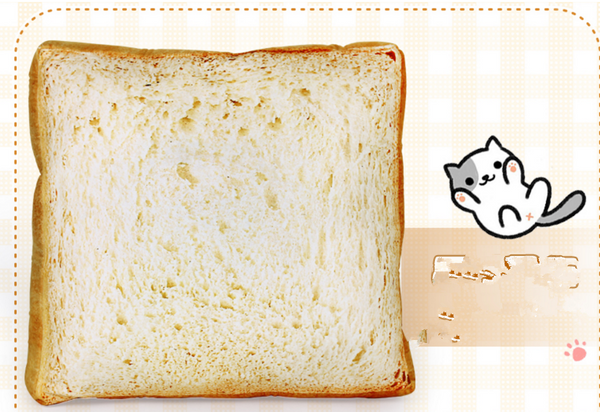 Toast Cushion