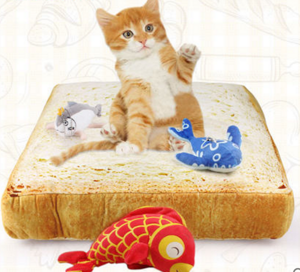 Toast Cushion