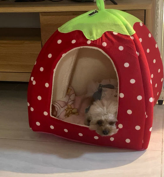 Sweet Strawberry Pet Nest