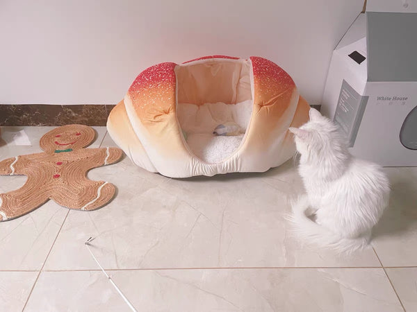 Kawaii Bread Pet Nest