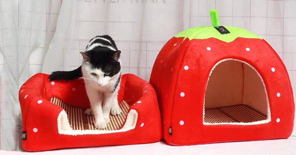 Sweet Strawberry Pet Nest