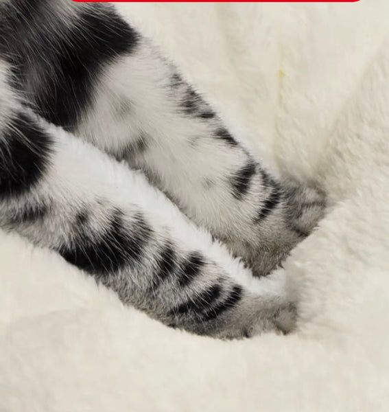 Kawaii Instant Noodles Pet Nest