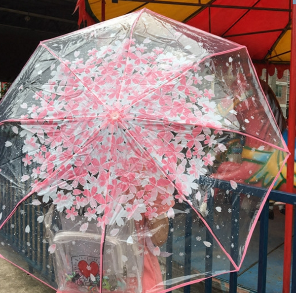 Sakura Umbrella