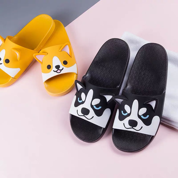 Dog Slippers