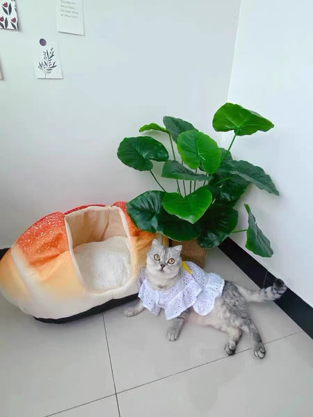 Kawaii Bread Pet Nest