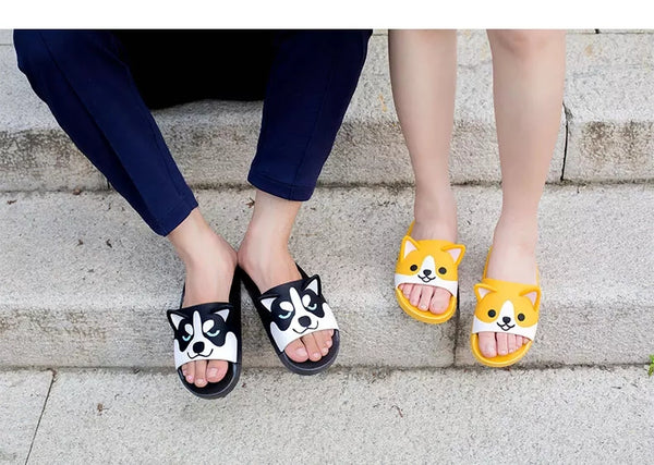 Dog Slippers