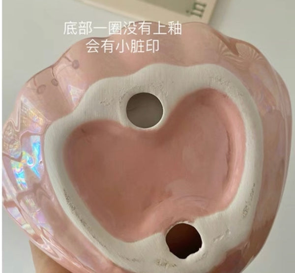 Cute Shell Night Lamp