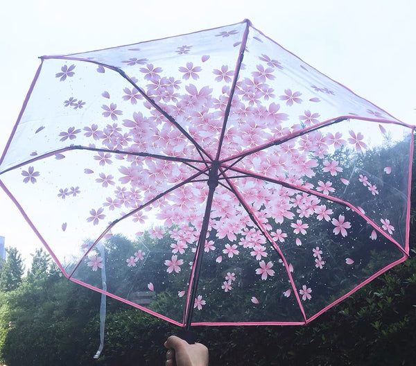 Sakura Umbrella