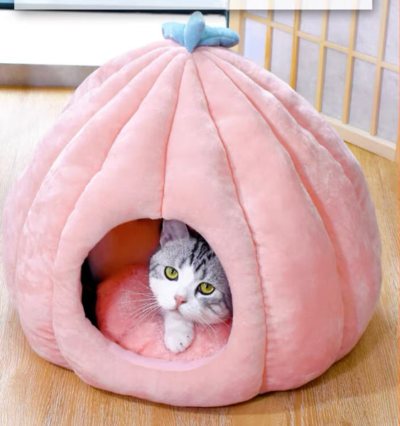 Funny Cat House