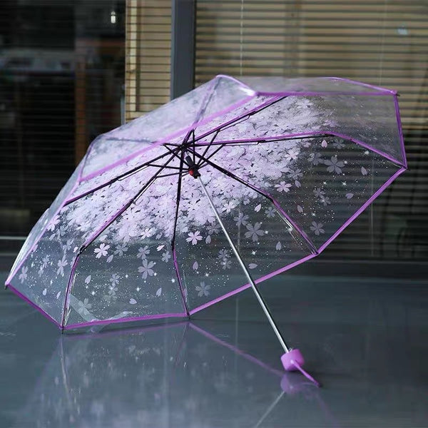 Sakura Umbrella