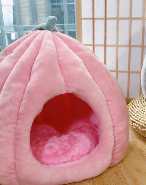 Funny Cat House