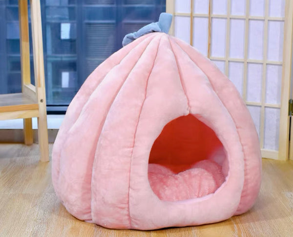 Funny Cat House