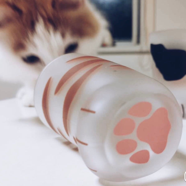 Cute Paw Cup
