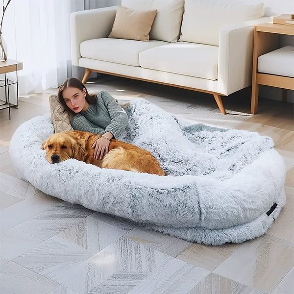 Funny Pet Bed