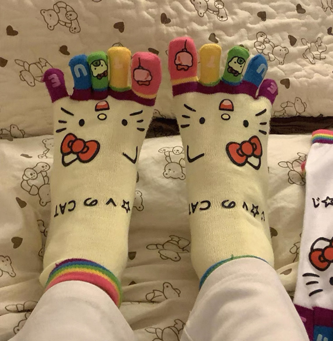Funny Kitty Socks