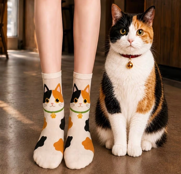 Cute Cats Socks