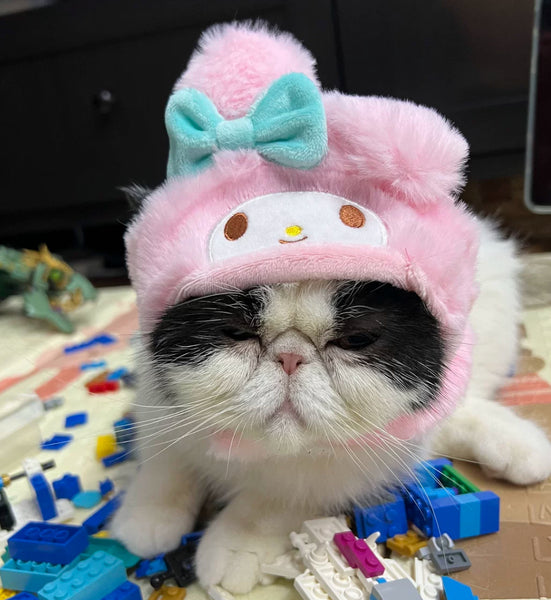 Cute Cartoon Cats Hat