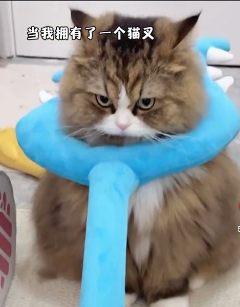 Funny Plush Toy