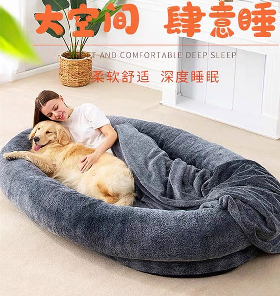 Funny Pet Bed