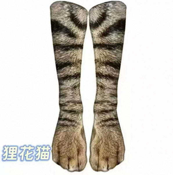 Funny Cat Socks