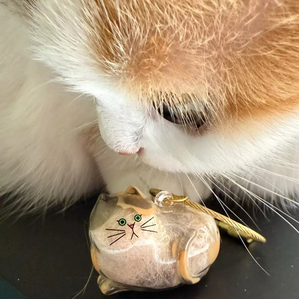 Funny Cat Toy