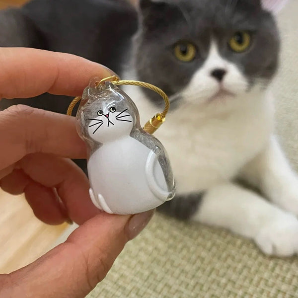 Funny Cat Toy