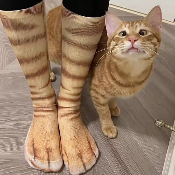 Funny Cat Socks