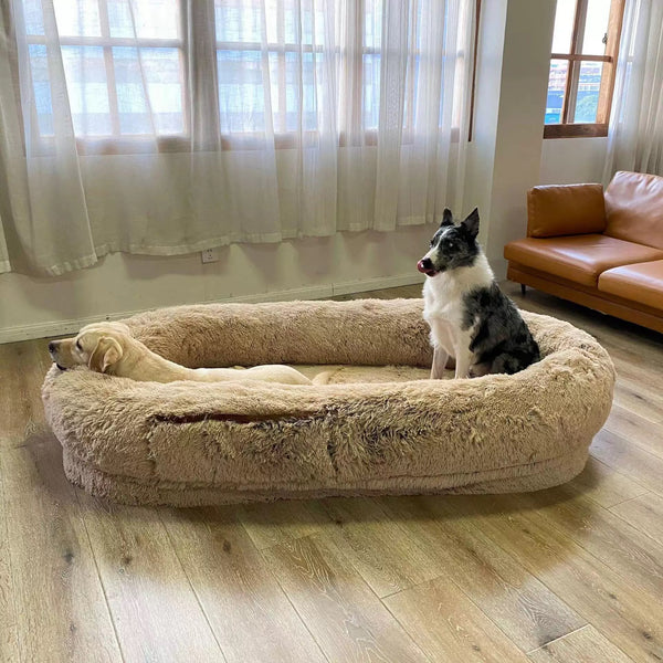 Funny Pet Bed