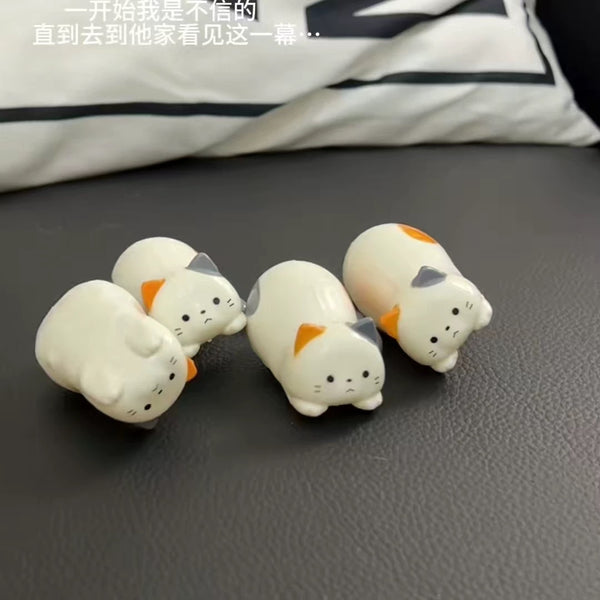 Funny Rolling Cat Toy