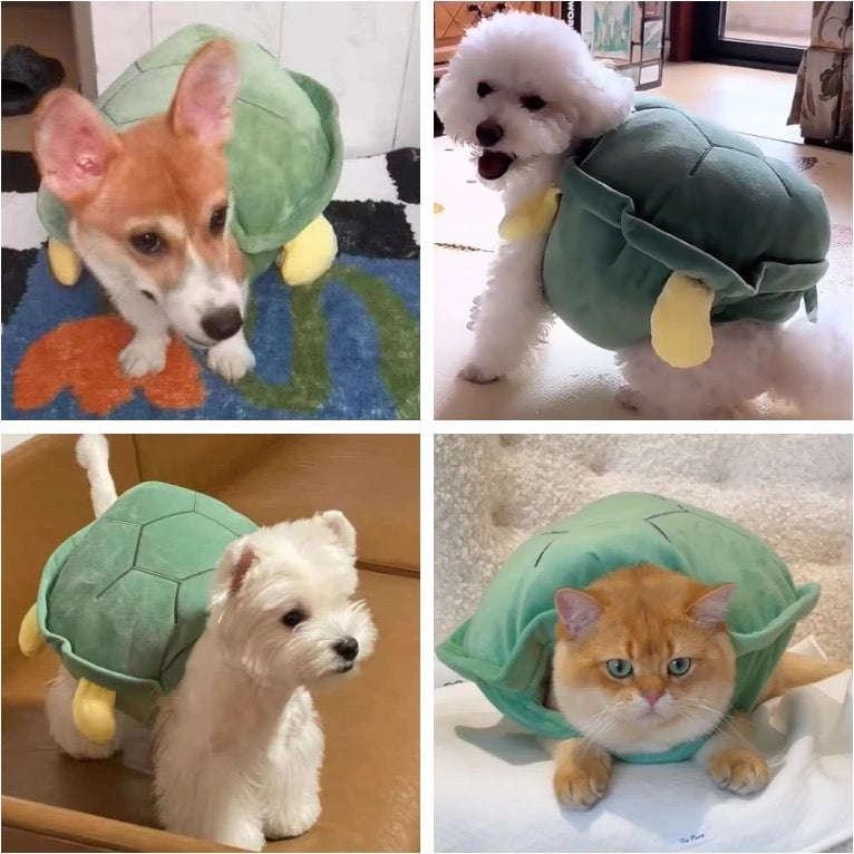 Cute Turtle Shell For Pet