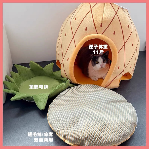 Funny Pineapple Pet House