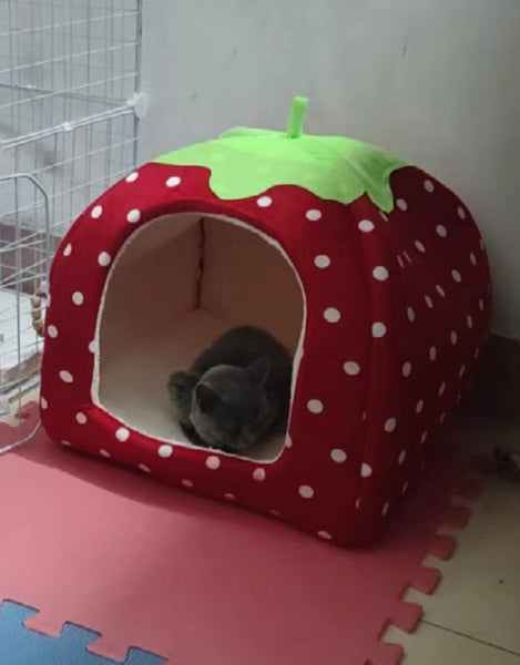 Sweet Strawberry Pet Nest