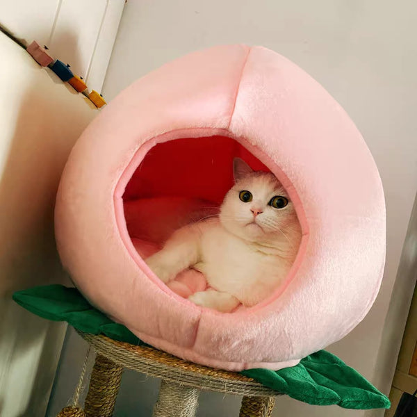 Sweet Peach Cat Nest