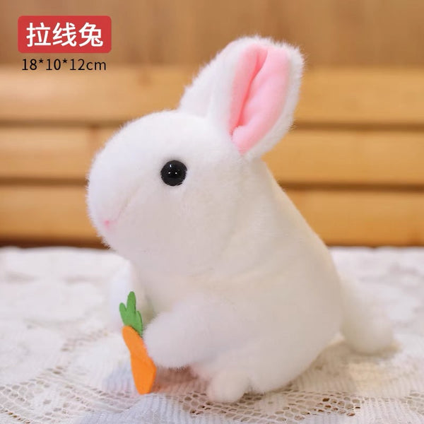 Funny Animal Toy