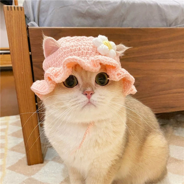 Cute Cartoon Hat For Cat