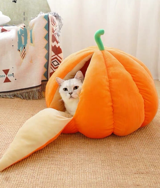 Kawaii Pumpkin Pet House